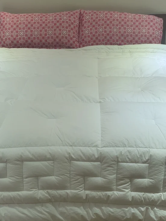 The Company Store Real Down Queen Comforter -  All-Season Medium Weight