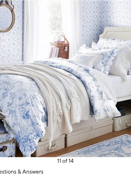 Pottery Barn Teen Blue and White Floral Ruffle Duvet Cover