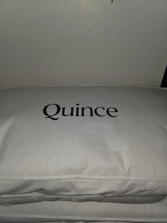 Quince NWT Luxe Goose Down Pillow King (Soft/Medium)