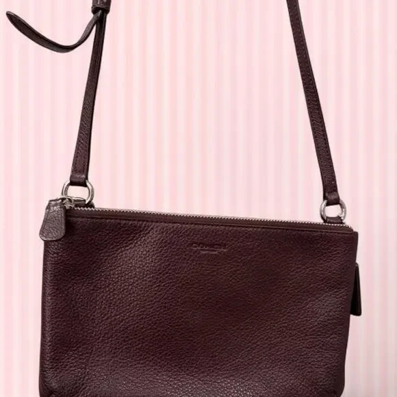 Coach Women's Burgundy and Brown Bag