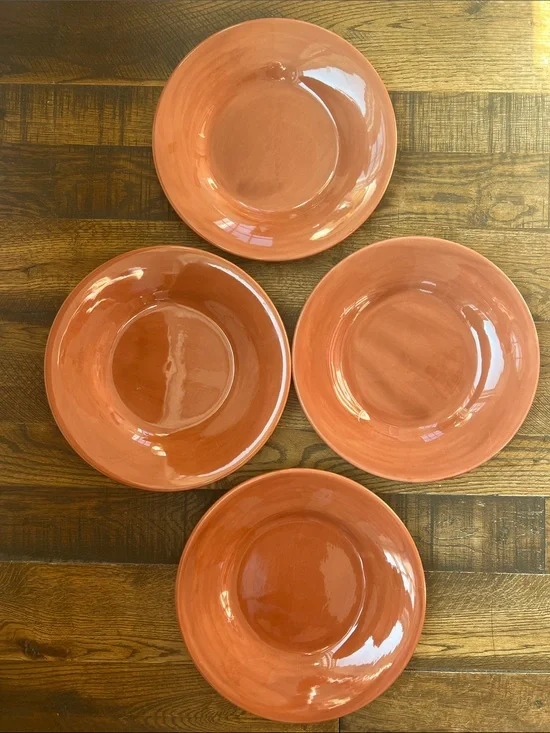 Pottery Barn Terracotta Orange Glazed Sausalito Ceramic Dinner plates - Set of 4