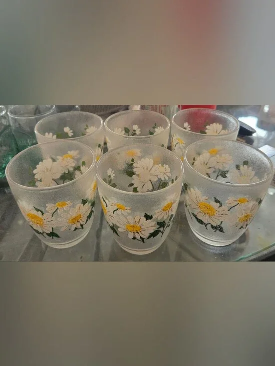 Vintage H.J. Stotter Daisy Frosted Acrylic Juice Cups Set of 6