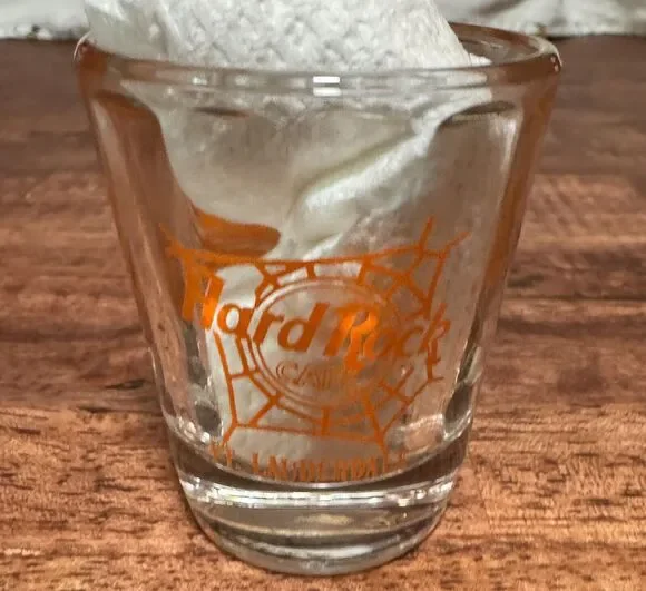 Hard Rock Cafe Ft. Lauderdale Halloween 2003 Shot Glass Smashing Pumpkins