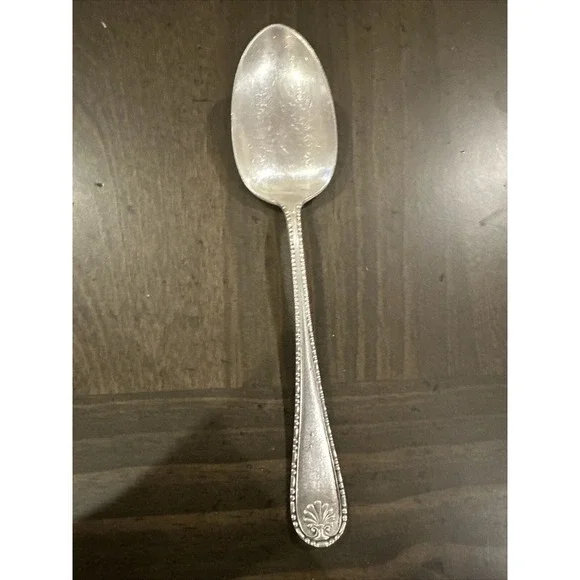 Simeon‎ L & George Rogers Company Oneida Stainless Steel Serving Spoon