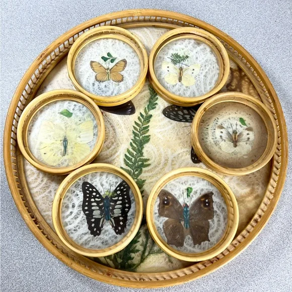 Vintage Round Pressed Butterfly Bar‎ Tray & Coaster Set Bamboo fern leaf retro