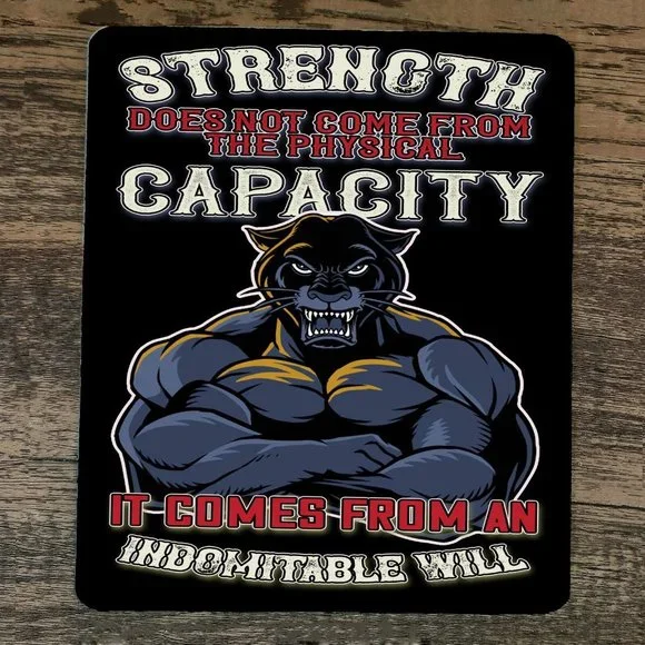 Mouse Pad Strength Does Not Come From Capacity‎ Panther