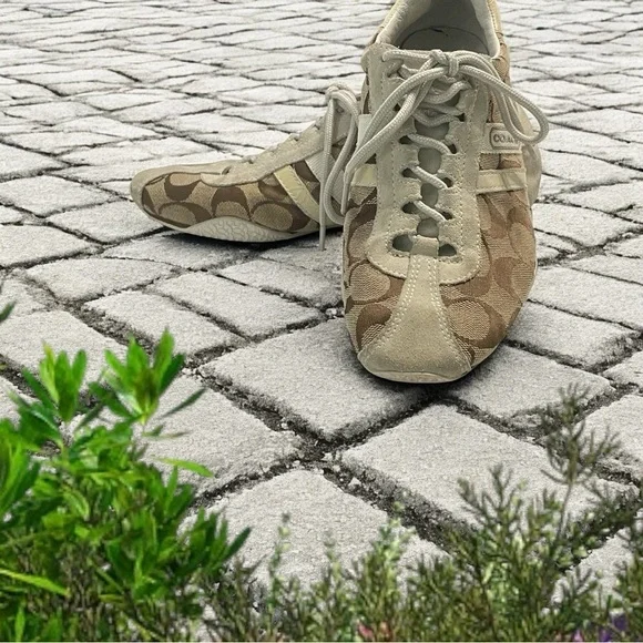 Coach Signature Katelyn Sneakers in Cream and Brown