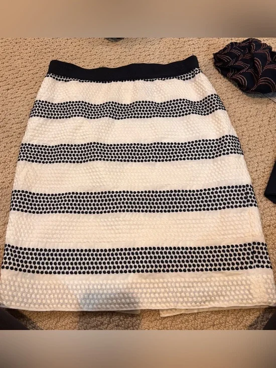 Striped Textured A-Line Skirt - White and navy