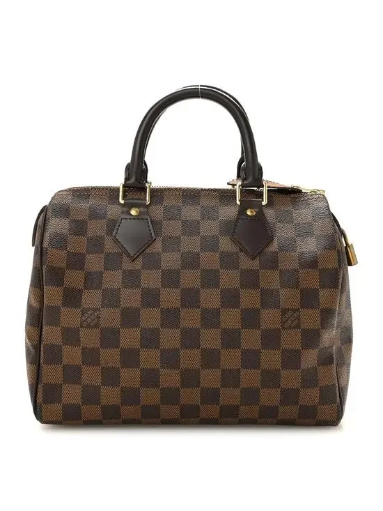 Louis Vuitton Damier Ebene Speedy 25 #309606L13B
