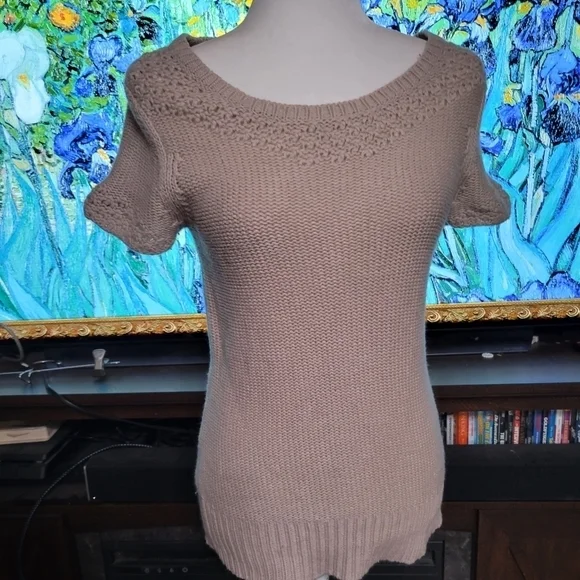 American Eagle Outfitters short sleeve‎ sweater size M