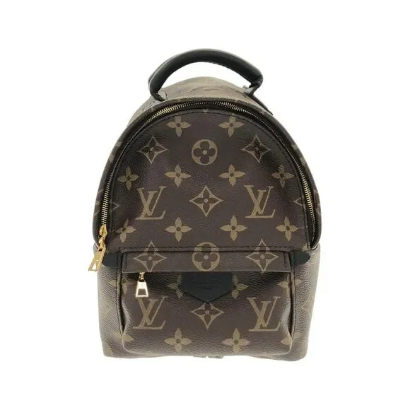 Louis Vuitton Palm Springs Backpack Monogram Backpack
