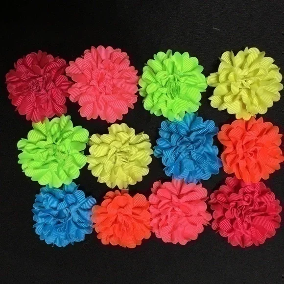 12 hair clips