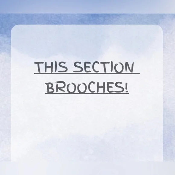 BROOCH SECTION - All Brooches