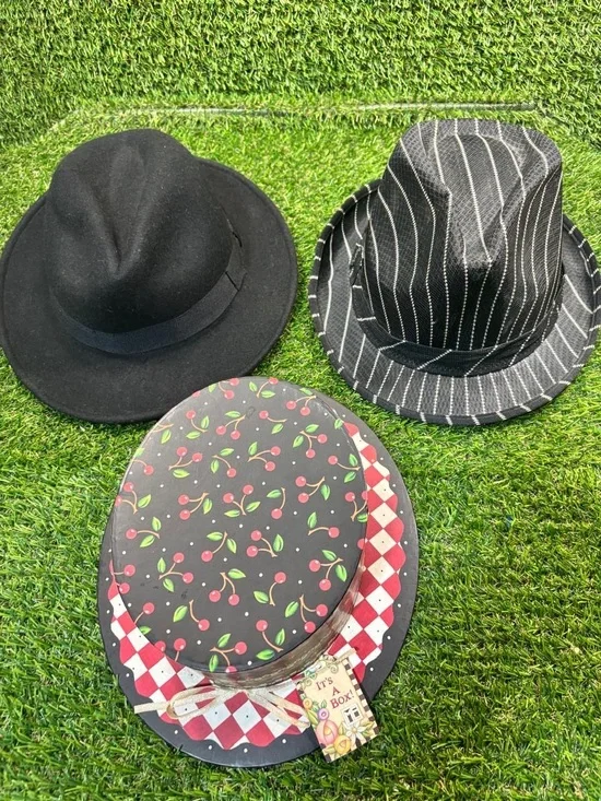 Weatherproof Wool Fedora, Striped Fedora & Mary Engelbreit Hat Box Lot