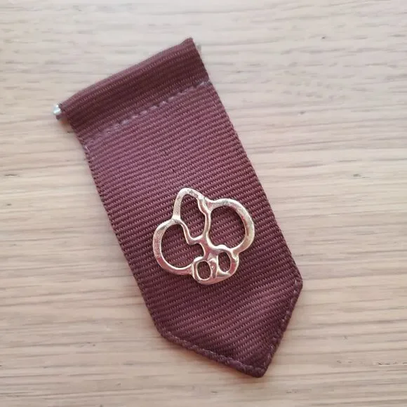 Vintage 90s Girl Scout Brownie Pin Set