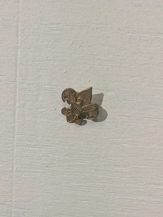 Brass Fleur-de-Lis Scout Lapel Pin - Gold