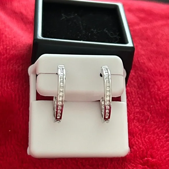 Luxury Moissanite Diamond Classic hoop earrings‎