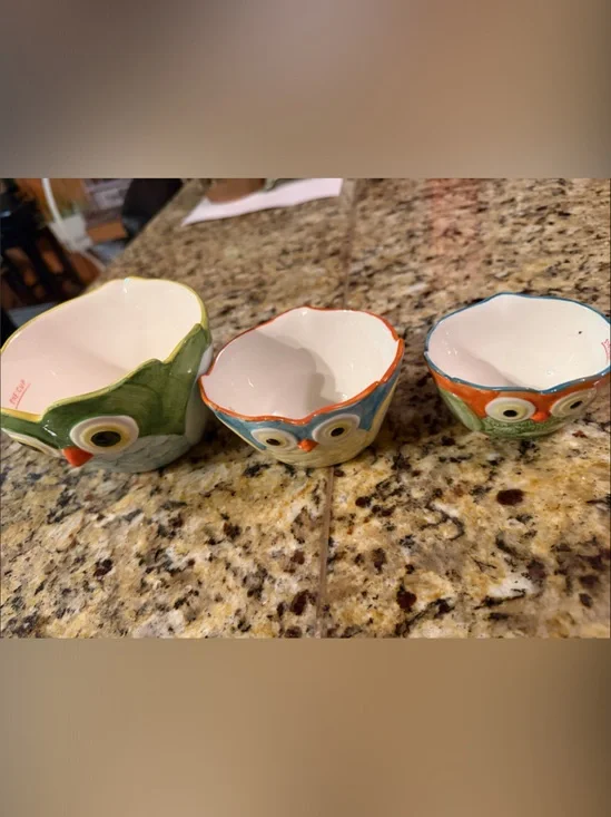 Pier 1 Owl Ceramic Nesting Bowls in Green and Blue