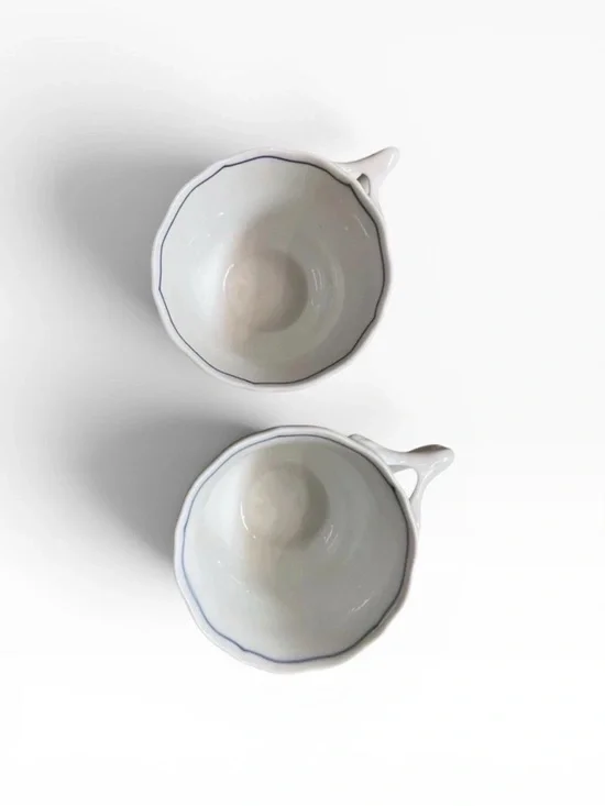 Blue Danube Onion Pattern Teacups Set of 2 Vintage Blue & White Japan