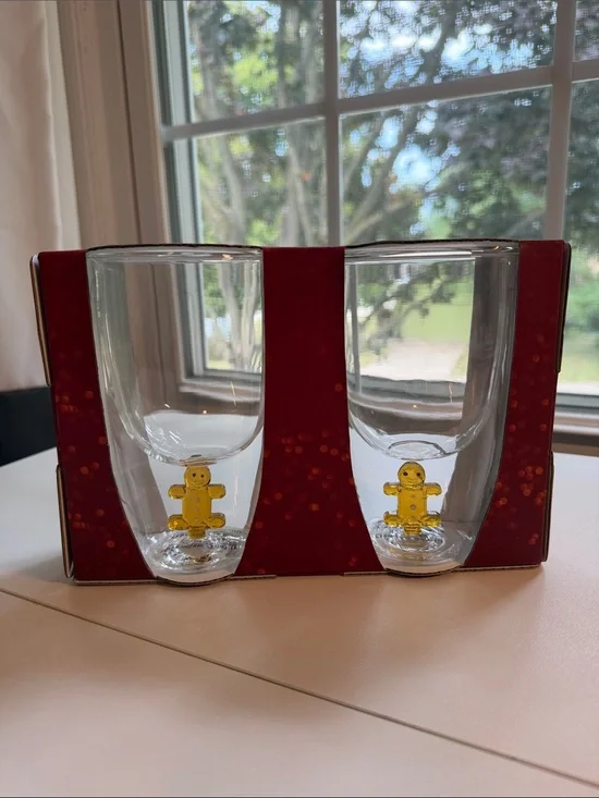 Set of two Double Wall Glasses