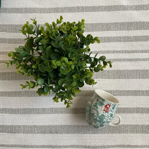 Anthropologie Monogram S Homegrown Mug