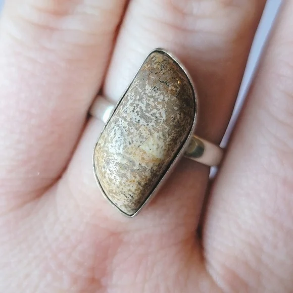 925 Picture Jasper Natural Stone Cabochon Ring Size 10 Silver Tone