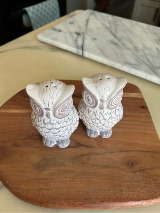 Ceramic Owl Salt and Pepper Shakers - 3.25” H