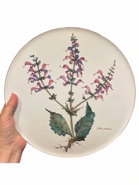 VILLEROY & BOCH Botanica 12