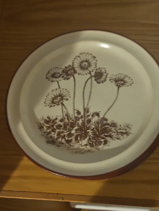 Noritake Stoneware Desert Flowers . 6 Desert Plates. 4 Dinner Plates. 10 Bowls