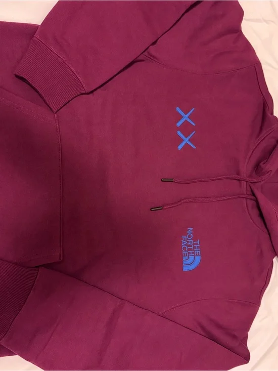 The North Face x KAWS Hoodie