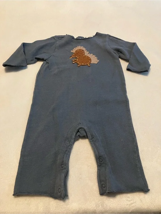 Baby One-Piece Blue Hedgehog Appliqué Romper