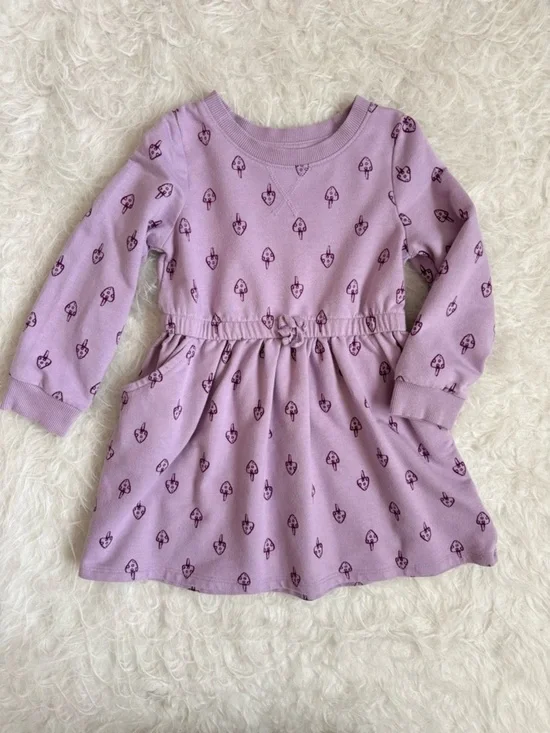 Cat & Jack Girls Lilac Casual Dress with Cottagecore Mushroom AOP