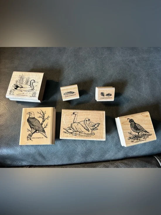 6 STAMPIN UP! 2000 BIRDS STAMPS duck eagle feather swan quail‎ vintage