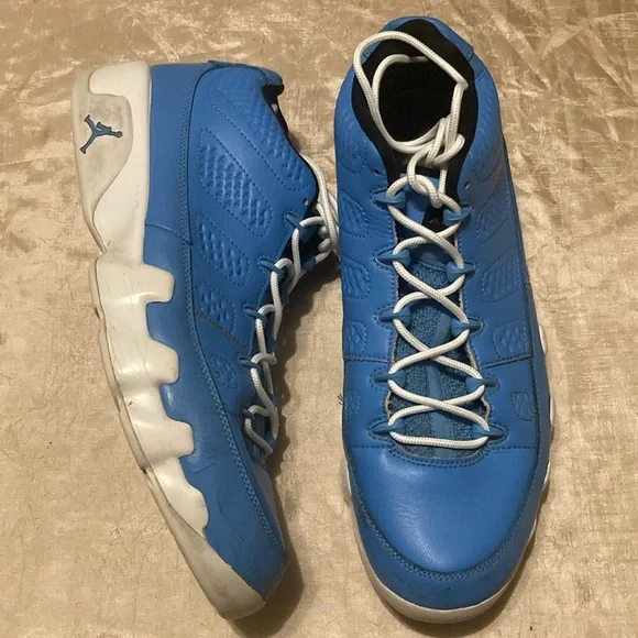 Jordan 9 Retro Low Pantone