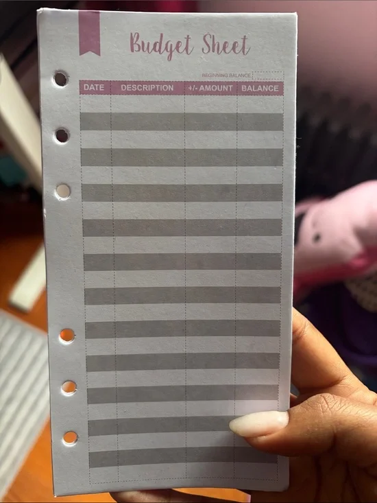 Budget Sheet Refill - Pink Header