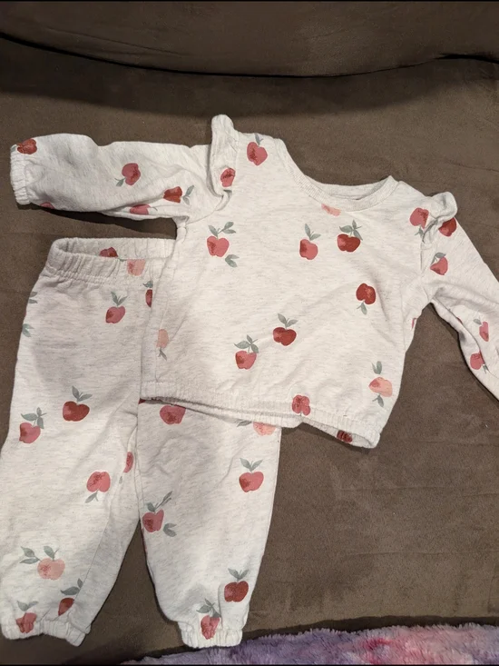 Carter's Gray Two-Piece Set with Pink and Red Apples 9m