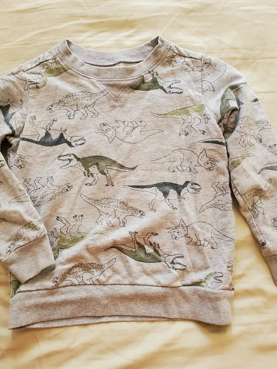 Carter's Kid Boys Gray Dinosaur All-Over Print Sweatshirt Crewneck Size 6