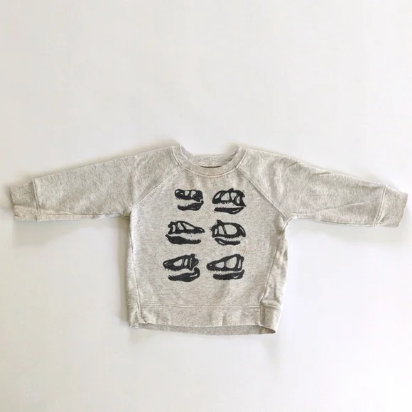 Jumping Beans 3T Softest Fleece Dinosaur Gray Sweatshirt