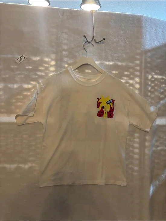 Zara kids 9/10 tee NWT