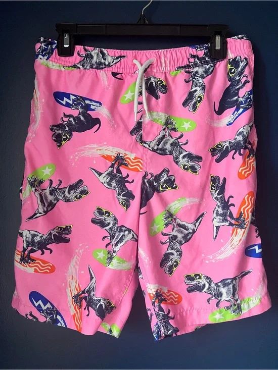 Lands’ End Boys XXL 18-20 Dinosaur Swim Trunks Pink Surf T Rex Board Shorts