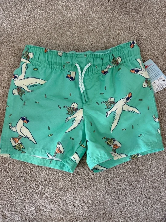 NWT Boys Mint Green Seagull Print Swim Trunks with lining 2T