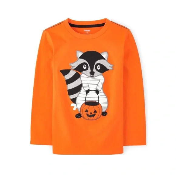 📌Gymboree • Embroidered • Raccoon Mummy •Shirt