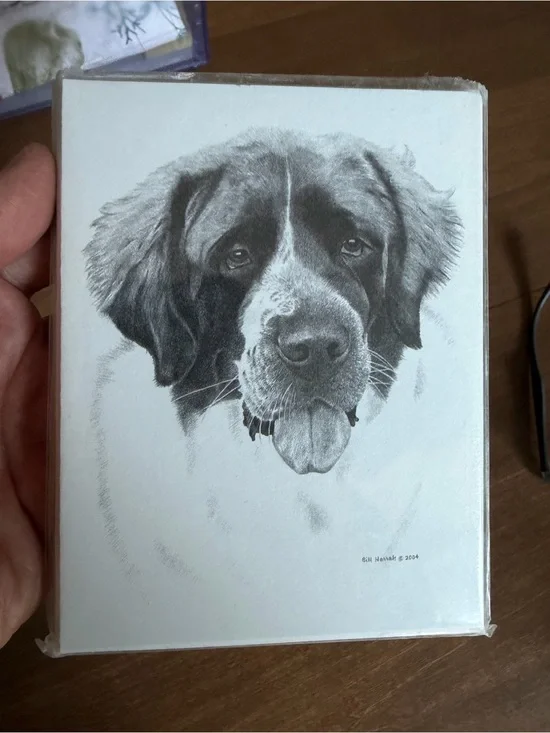 Saint Bernard Dog Note Cards (8) Fine Art Drawing