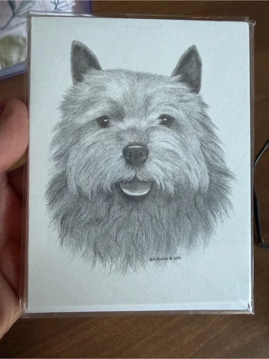 Norwich Terrier Dog Note Cards (8) Fine Art Drawing