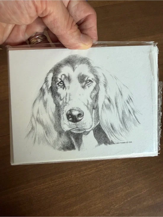 Irish Setter Dog Note Cards (8) Fine Art Drawing