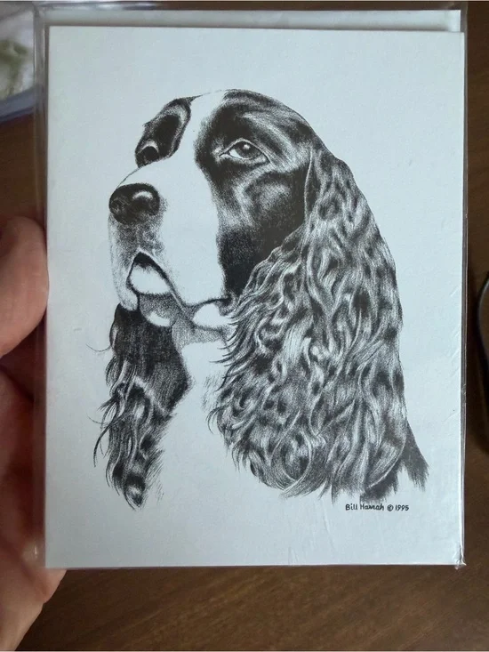 Springer Spaniel Dog Note Cards (8) Fine Art Drawing - Bill Harrah 1995