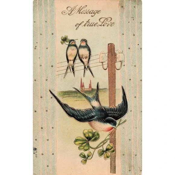 1909 Sheboygan Falls WI Postcard Swallows Clover Message True Love Embossed