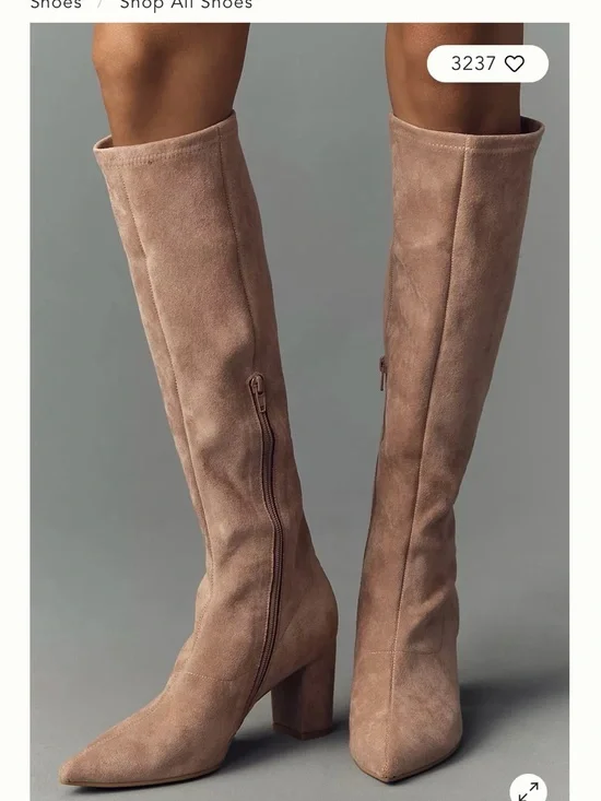 Silent D Suede Over-the-Knee Pointed Toe Boots in Taupe