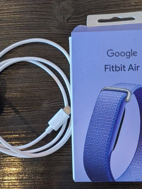 Google Fitbit Air