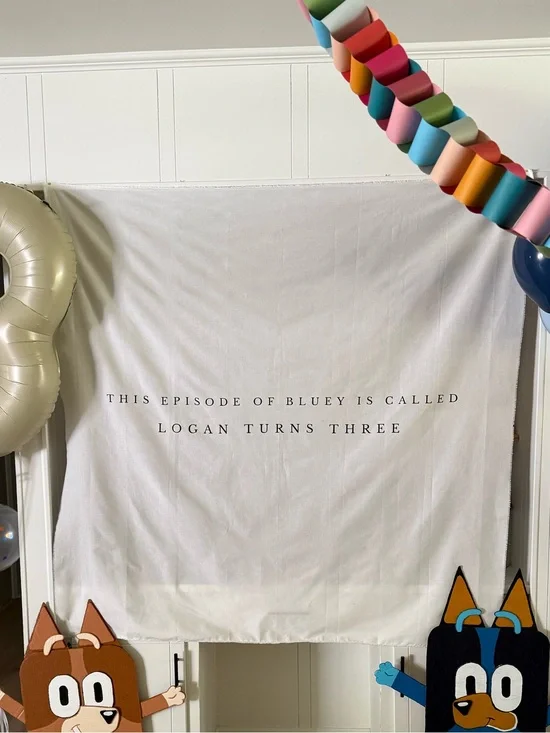 Bluey Birthday Backdrop